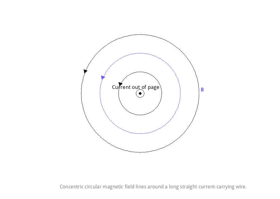 Concentric circular magnetic field lines around a long straight current-carrying wire.