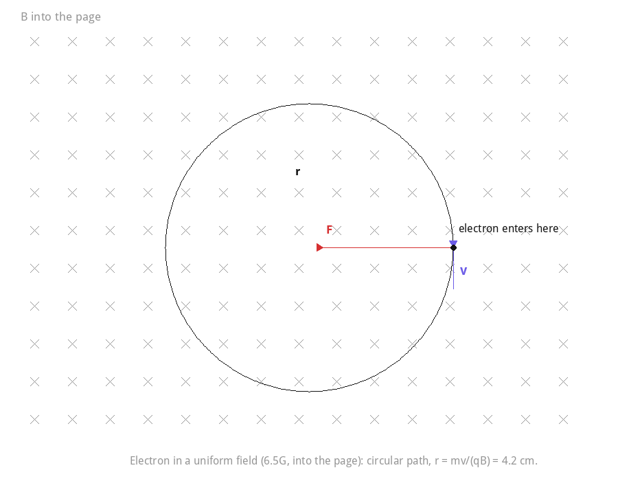 Electron moving in a circle in a magnetic field into the page.