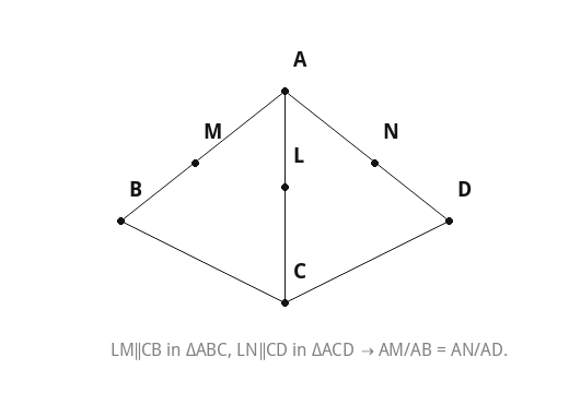 LM∥CB in ΔABC, LN∥CD in ΔACD → AM/AB = AN/AD.