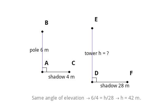 Same angle of elevation → 6/4 = h/28 → h = 42 m.