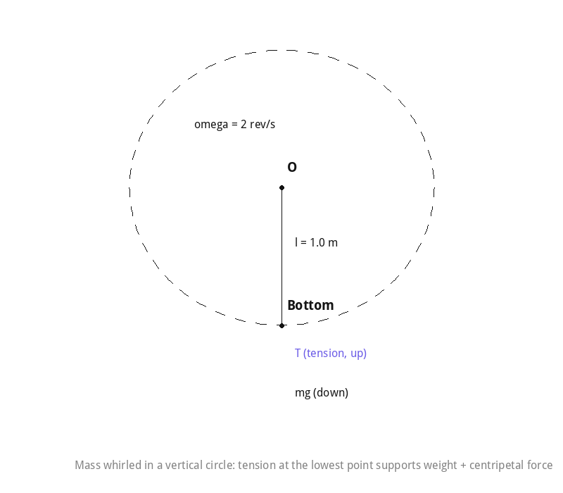 Mass whirled in a vertical circle on a steel wire