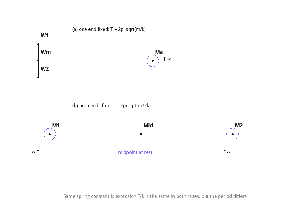 Spring with one end fixed compared to a spring with both ends free and a mass at each end